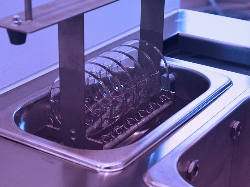 Packaging & Dispatch